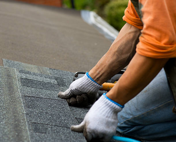 Best Roof Gutter Cleaning  in Royal Hawaiian Estates, HI